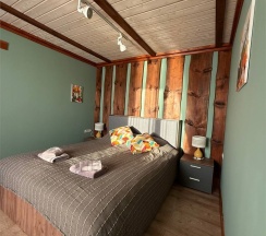 Номер Делюкс "Восток" в Времена Года