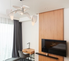 Делюкс 1 в X-Clinic