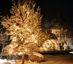 Лодж №4 с удобной кухней и диагональным видом на залив в Vyborg Bay