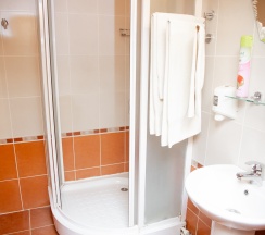 Стандартный двухместный номер в Пингвин