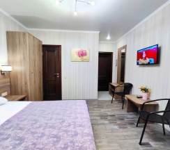 Двухместный номер Standard с балконом двуспальная кровать в Camelia