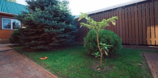 Дюрсо: Коттедж Семейный