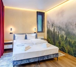 Зеркальный Дом большой в Хвоя