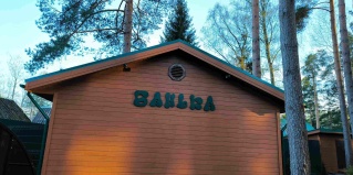 Вырица: Коттедж Дача Сосновка