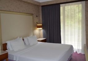 Отель Rayda Hotel — Building 2 в Гагре