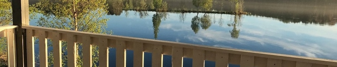 Студия "Все отдохнут" №2 (2+1+1) в У плотника