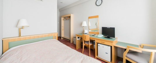 Двухместный номер Standard двуспальная кровать в Business Hotel Apple