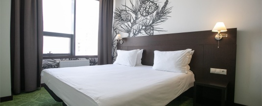 Business Double with river view в Gorskiy city hotel