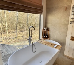 Куб в Лис и Лес