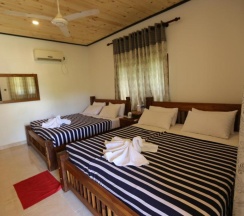 Номер Deluxe в Eco Hotel Black & White - Anuradhapura