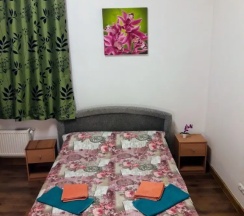 Двухместный номер Standard двуспальная кровать в Tiger Hostel