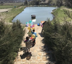 Двухместный номер в Золотая рыбка