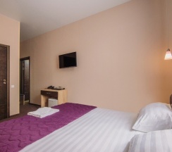 Стандартный двухместный номер с электрокамином в Ring Road Hotel