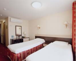 СТАНДАРТ TWIN в Амакс Сафар