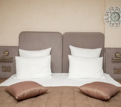 Номер делюкс в Губернский