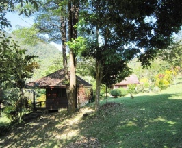 Бунгало с 2 комнатами в Phanom Bencha Mountain Resort