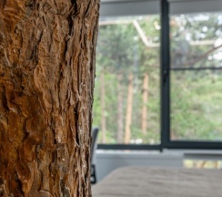 Wood Delux в Эклер