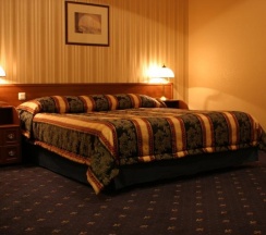 Комфорт DBL/TWIN в Belvedere-Nevsky