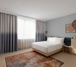 Стандартный номер для людей с ограниченными возможностями в Hampton by Hilton