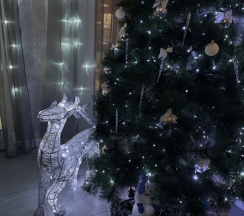 Апартаменты с 3 комнатами в Дом у Аквапарка