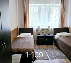 Двухместный стандарт: 2е односпальные кровати  (корпус №1 ) в Лесное поместье