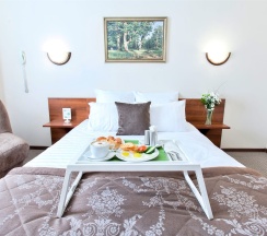 Номер Люкс в Дубки