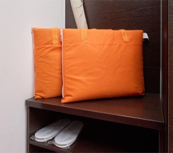 Стандарт семейный ПЛЮС с балконом в Диса