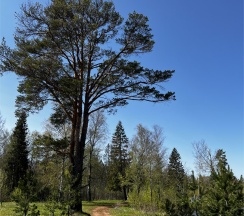 Дом №4 в Biathlon Village
