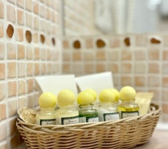 Номер "Бизнес" Junior Sute Room Sngl/Dbl/Trpl в Trezzini