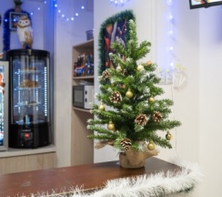 Одноместная капсула в Timelapse