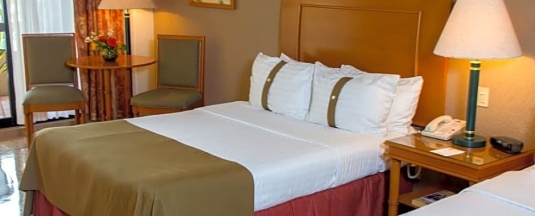Номер Standard с красивым видом из окна в The Palms Resort of Mazatlan