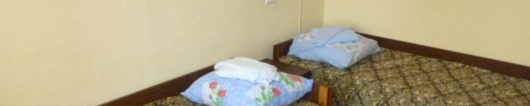 Номер стандарт с 2 односпальными кроватями в Суражичи