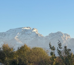 Дом в Alansberg
