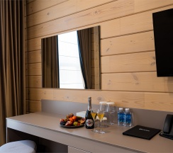 Полулюкс в Opera Wellness Hotel