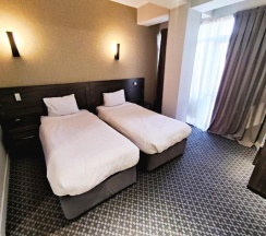 Двухместный номер Standard 2 отдельные кровати в Golden Palace