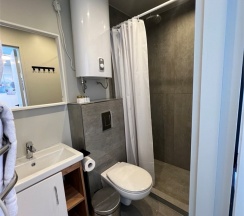 Стандарт в Телецкое Золотое