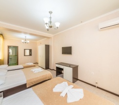 Стандарт 4х местный с балконом в Протос