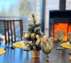 Барнхаус «Скандинавия» в Aldi-Karelia