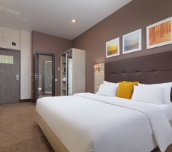 Стандартный номер с широкой двуспальной кроватью в Golden Tulip