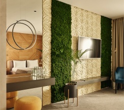 Полулюкс в Бор 812