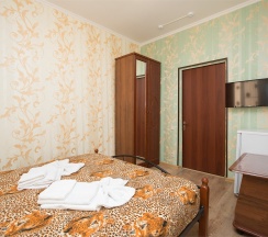 Двухместный номер c 1 двуспальной кроватью в Hotel-st