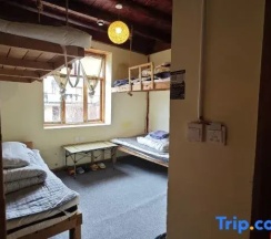 Кровать в общем номере (женский номер) в Up In The Air Youth Hostel