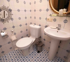 Двухместный номер Люкс с одной двуспальной кроватью в Дубровский