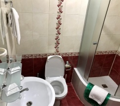 Стандарт в Давид Олимпик
