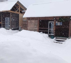 Студия 4х местный в Алтай