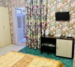 Двухместный номер Standard двуспальная кровать в 222