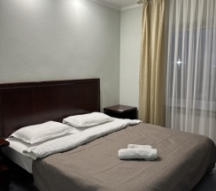 Полулюкс в Сапсан