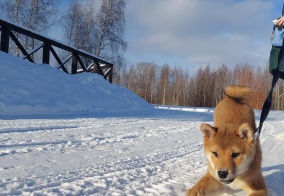 Отель Порт Весьегонск в Весьегонске