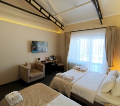 Трехместный полулюкс (DBL/SGL/Triple)  в Никольское