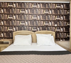 3х местный стандарт с видом на столовую  (номер на цокольном этаже) в Эргес